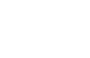 Next Link Consortium